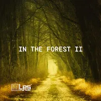Lesfm — In The Forest 2 Ft Olexy — обложка
